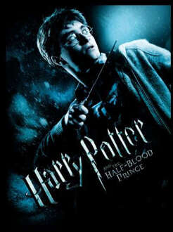 Harry Potter Half-Blood Prince Hoodie - Black - L Zwart