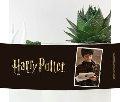 Harry Potter Harry - Letters Mug