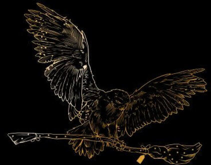 Harry Potter Hedwig Broom Gold dames t-shirt - Zwart - L