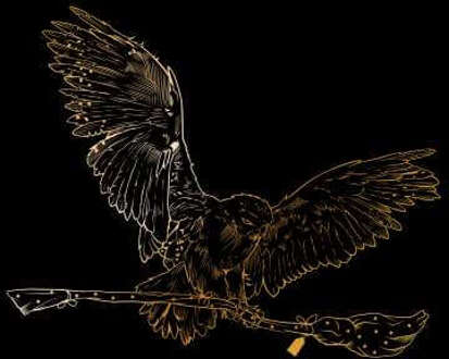 Harry Potter Hedwig Broom Gold trui - Zwart - XXL - Zwart