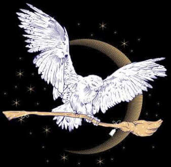 Harry Potter Hedwig Broom trui - Zwart - L