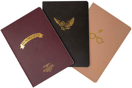 Harry Potter Hogwarts A6 Shrinkwrapped Notebooks 3 Pack