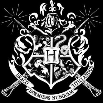 Harry Potter Hogwarts House Crest Women's T-Shirt - Black - M Zwart