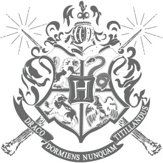 Harry Potter Hogwarts T-shirt - Wit - M