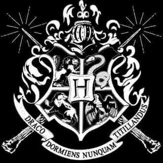 Harry Potter Hogwarts T-shirt - Zwart - L