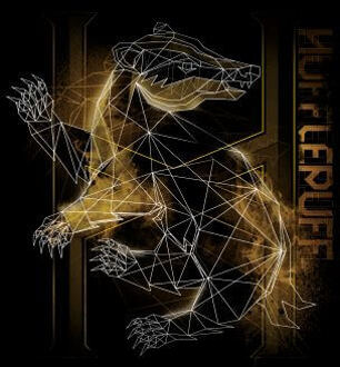 Harry Potter Hufflepuff Geometric dames t-shirt - Zwart - XXL