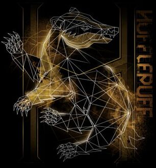 Harry Potter Hufflepuff Geometric t-shirt - Zwart - XL