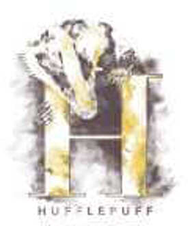 Harry Potter Hufflepuff Hoodie - White - XL Wit