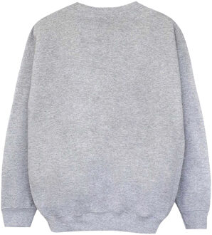 Harry Potter Jongens Ravenclaw Sweatshirt (Sportgrijs) - maat 5-6J / 110-116cm Lichtgrijs