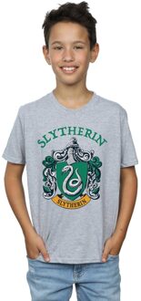 Harry Potter Jongens Slytherin T-shirt (Sportgrijs) Lichtgrijs