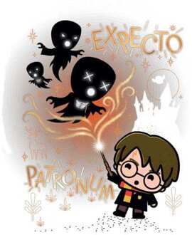 Harry Potter Kids Expecto Patronum Hoodie - White - XXL - Wit