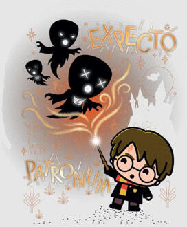 Harry Potter Kids Expecto Patronum Women's T-Shirt - Grey - 3XL Grijs
