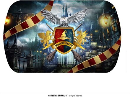 Harry Potter Magical School Dienblad (39x24cm) Multikleur - Print