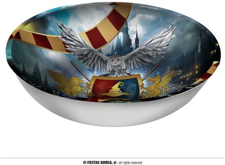 Harry Potter Magical School Schaal (27cm) Multikleur - Print
