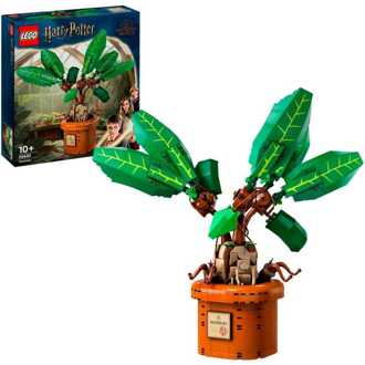 Harry Potter - Mandragora Constructiespeelgoed