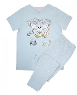 Harry Potter Meisjes Hedwig Zweinstein Lange Pyjamaset met Korte Mouwen (Babyblauw) Lichtblauw - 6-7J / 116-122cm