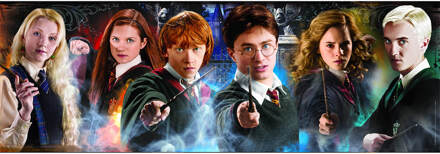 Harry Potter Panorama Jigsaw Puzzle Portraits (1000 pieces)