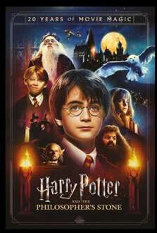 Harry Potter Philosopher's Stone Hoodie - Black - S Zwart