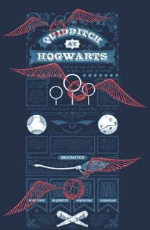 Harry Potter Quidditch At Hogwarts dames t-shirt - Navy - XL