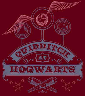 Harry Potter Quidditch At Hogwarts Hoodie - Burgundy - L - Burgundy