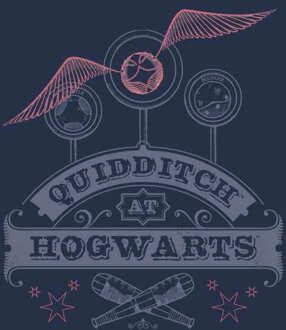 Harry Potter Quidditch At Hogwarts Hoodie - Navy - L - Navy blauw