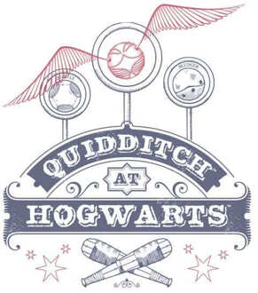 Harry Potter Quidditch At Hogwarts Hoodie - White - L - Wit