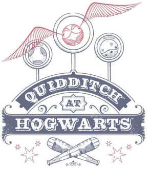 Harry Potter Quidditch At Hogwarts Hoodie - White - XL Meerdere kleuren