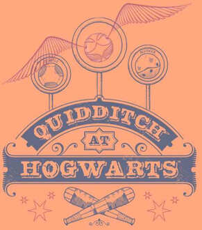 Harry Potter Quidditch At Hogwarts Men's T-Shirt - Coral - M - Koraalrood