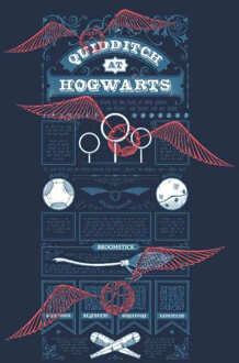 Harry Potter Quidditch At Hogwarts t-shirt - Navy - M