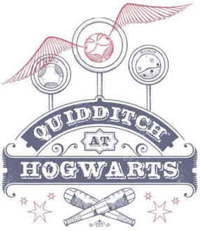 Harry Potter Quidditch at Hogwarts T-shirt - Wit - S