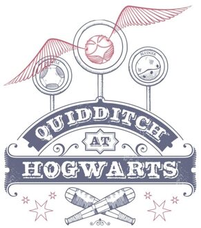 Harry Potter Quidditch at Hogwarts T-shirt - Wit - S