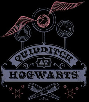 Harry Potter Quidditch At Hogwarts Women's T-Shirt - Black - S Zwart