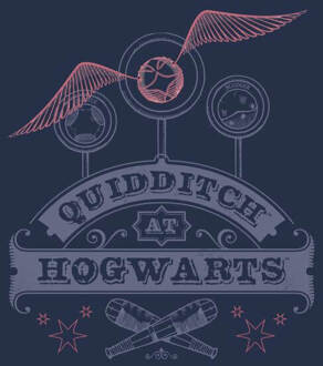 Harry Potter Quidditch At Hogwarts Women's T-Shirt - Navy - M