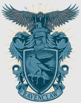 Harry Potter Ravenclaw Drawn Crest dames t-shirt - Grijs - XL