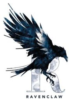 Harry Potter Ravenclaw Unisex T-Shirt - White - 5XL Wit