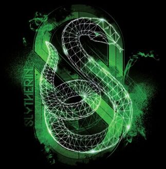 Harry Potter Slytherin Geometric t-shirt - Zwart - XL