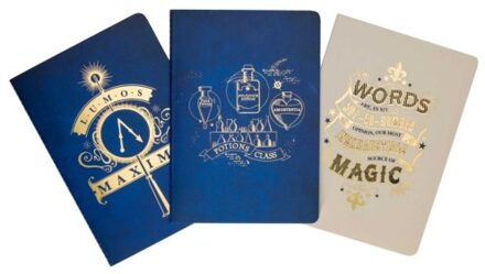 Harry Potter: Spells And Potions Planner Notebook Collection (Set Of 3) - Harry Potter - Insight Editions