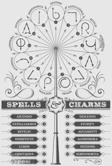 Harry Potter Spells Charms dames t-shirt - Grijs - XL