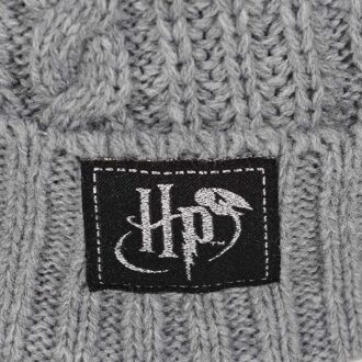 Harry Potter Unisex Adult Deathly Hallows Beanie (Grijs) - One Size
