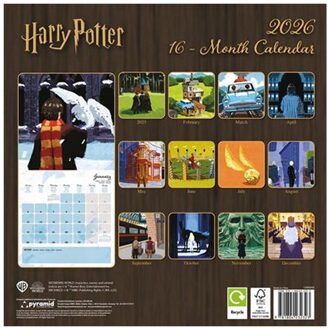 Harry Potter Vierkante kalender 2026 (Veelkleurig) Groen