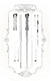 Harry Potter Wand Of Harry Potter dames t-shirt - Wit - XL