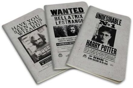 Harry Potter: Wanted Posters Pocket Journal Collection