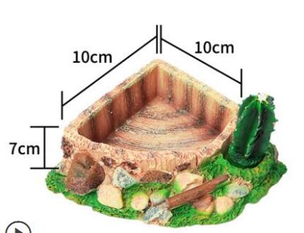 Hars Cactus Reptiel Feeder Kom Bassin Schildpad Water Schorpioen Voor Huisdier Schildpad Pot Krabben Voeden Lade Voedsel LizardZA195 color3