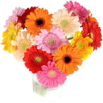 Hart boeket gerberas ca. 25 cm doorsnede