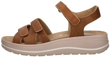 Hartjes Woogie Cognac - 42