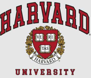 Harvard Gray Tee Men's T-Shirt - Grey - XXL Grijs