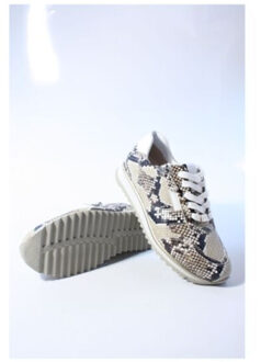 Hassia 30203 porto sneakers Beige - 39