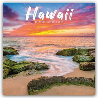 Hawaii Square Wall Sunday Start Calendar - Browntrout Wandkalender - Carousel Calendar