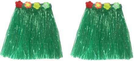 Hawaii thema verkleed rokje - 2x - raffia - groen - 40 cm - volwassenen - One size