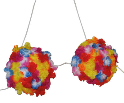 Hawaii topje Multikleur - Print